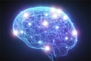 مغز والدین پرخاشگر ساختار متفاتی دارد.