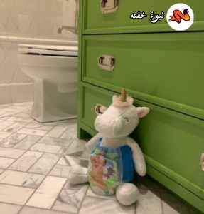 اولین مرحله آموزش توالت رفتن