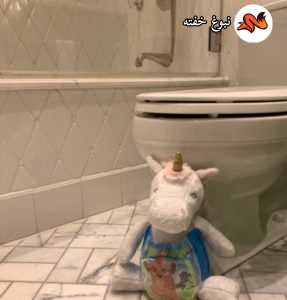 دومین مرحله آموزش توالت رفتن