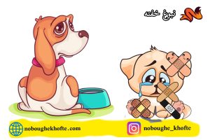 قصه عالی برای آموزش جنسی