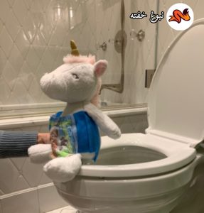 پنجمین مرحله دسشویی رفتن