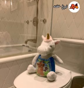 چهارمین مرحله آموزش توالت رفتن