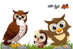 قصه برای بچه های طلاق
