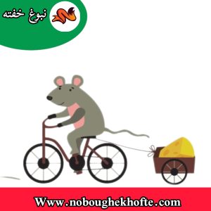 قصه موشی که دیر میخوابید