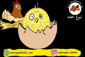 قصه آموزش و تربیت جنسی کودکان