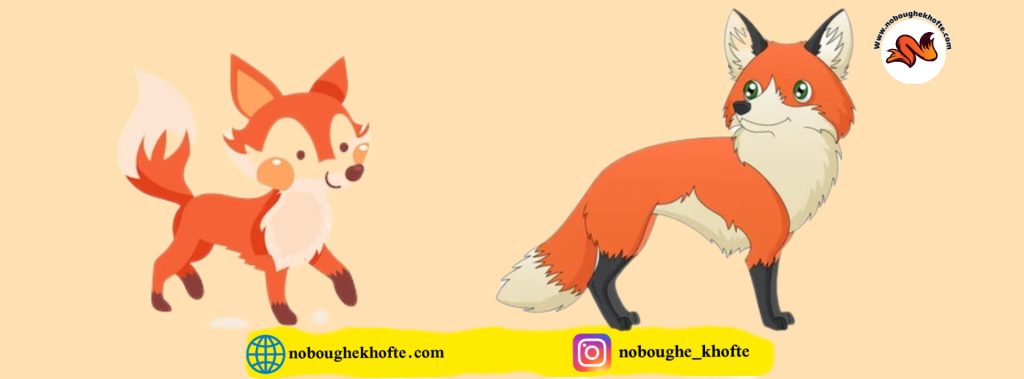 قصه برای بچه هایی که از تنها ماندن میترسند